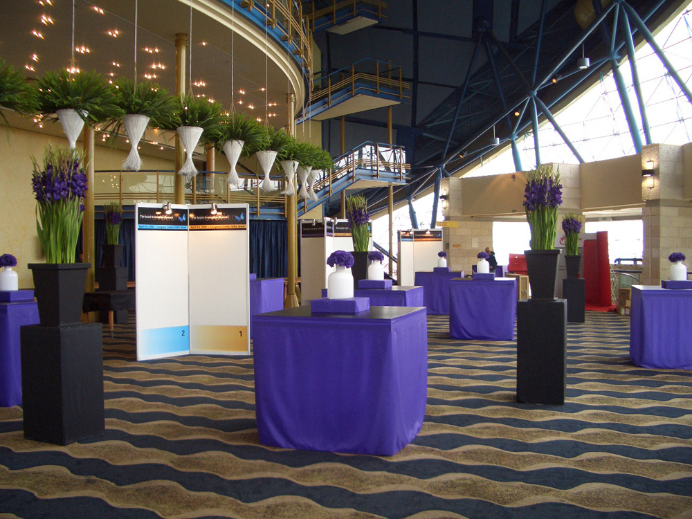 לחיצה להגדלת תמונה 