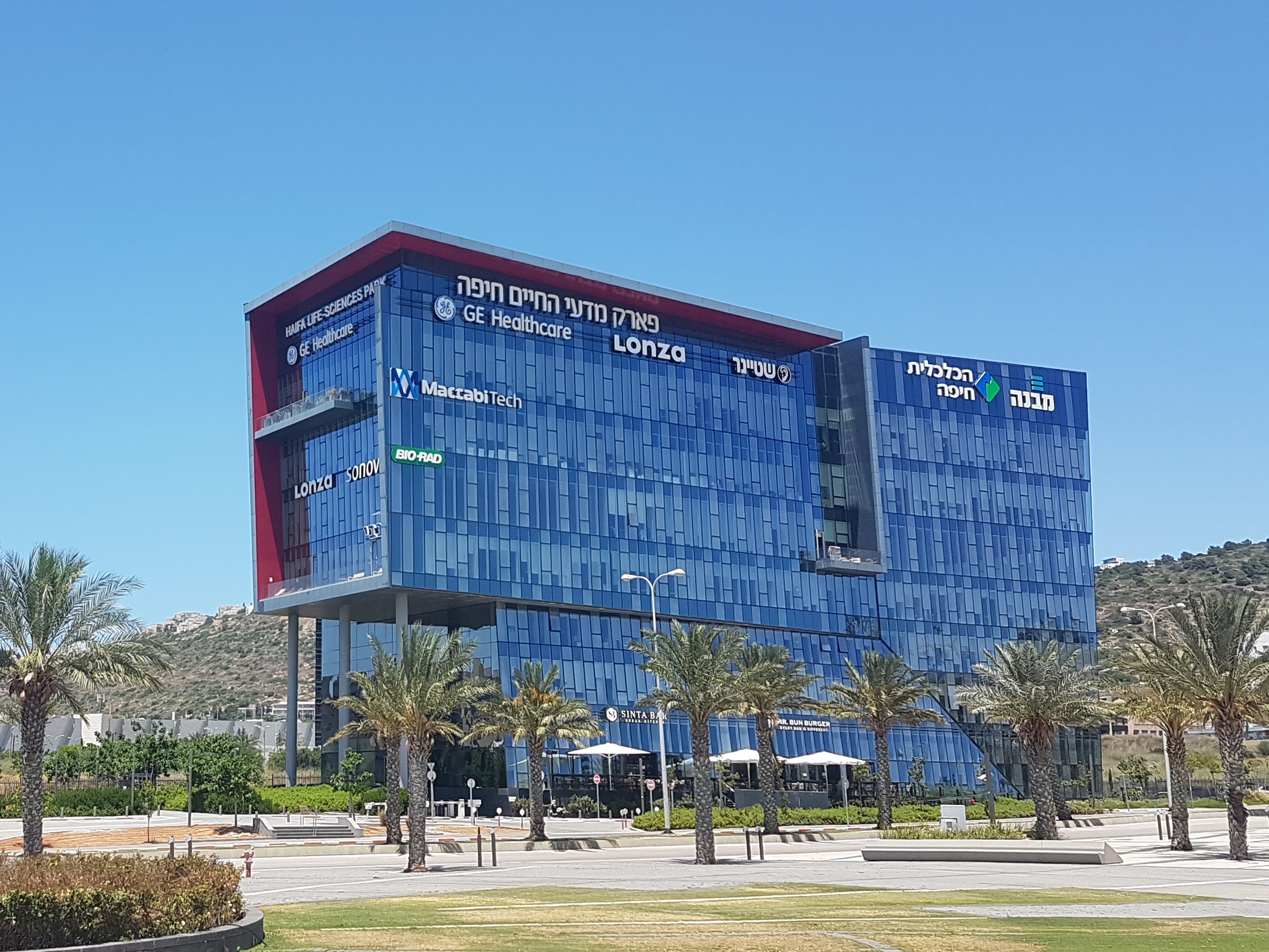 לחיצה להגדלת תמונה 